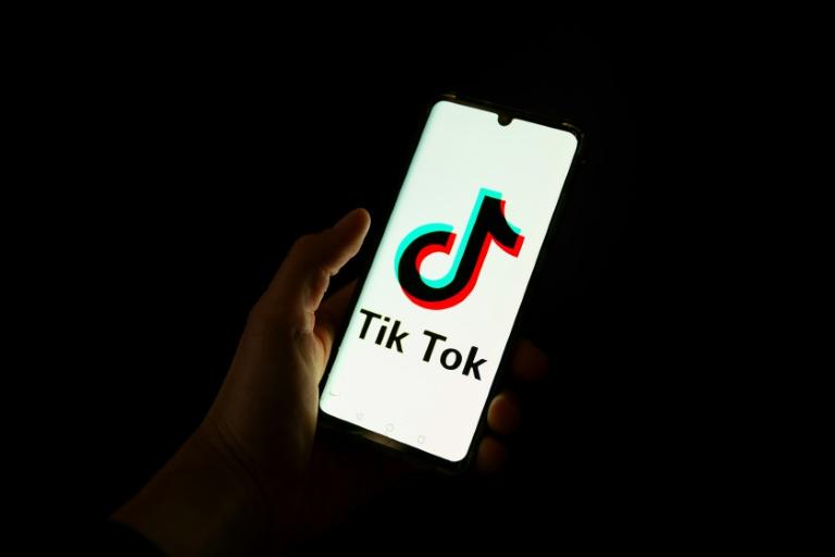 L'Albanie va fermer TikTok pendant au moins un an
