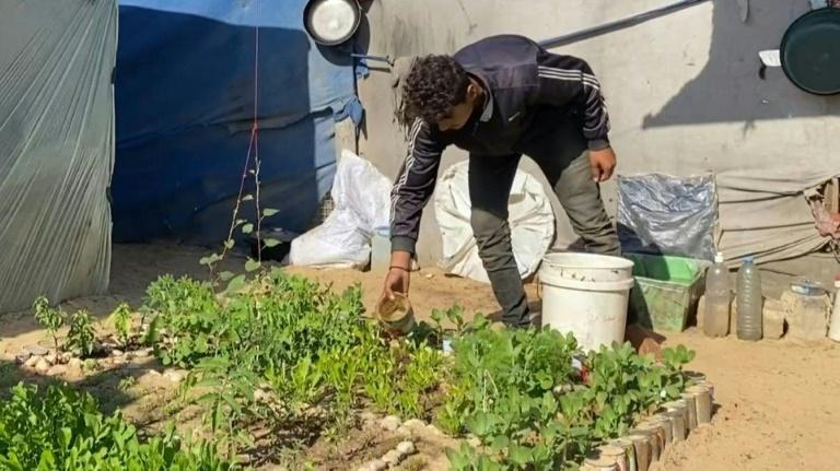 Triste Noël pour les chrétiens orthodoxes de Gaza