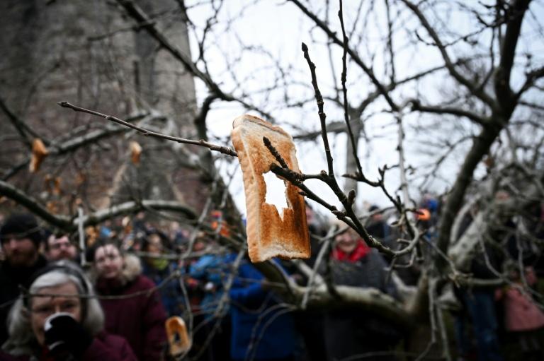 Les Britanniques renouent avec une bénédiction païenne des pommiers, le "wassailing"