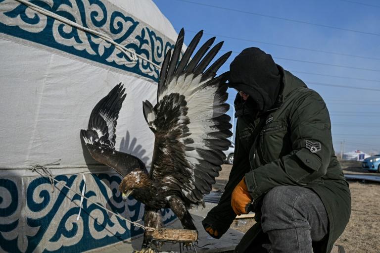 En Mongolie, un festival sous -20°C pour garder la flamme des traditions