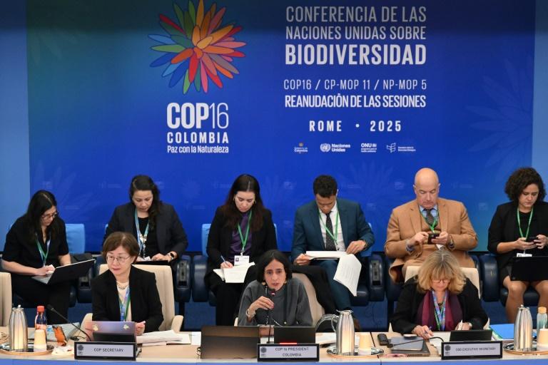 COP16: le monde reprend à Rome l'âpre débat pour financer la sauvegarde de la nature