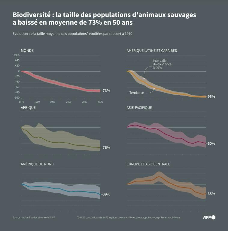 COP16 biodiversité: sprint final à Rome pour un accord sur la finance pour la nature