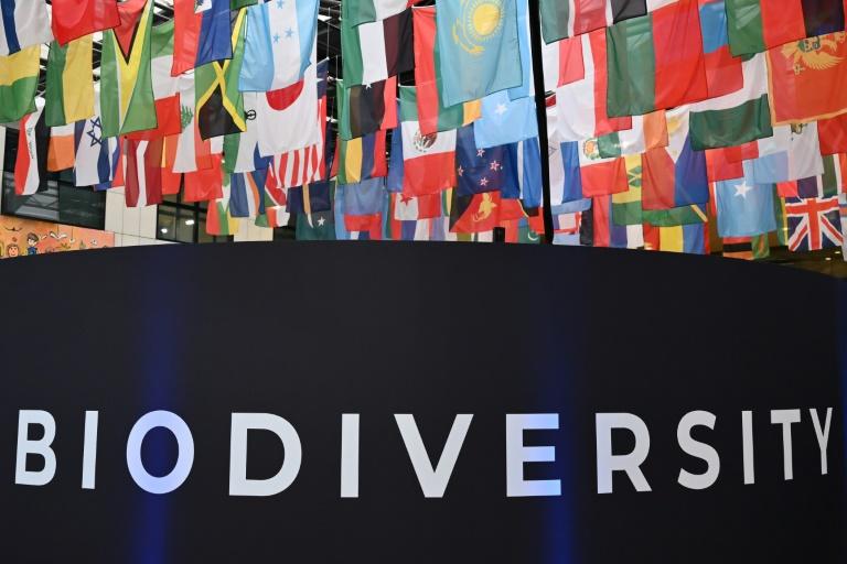 COP16 biodiversité: sprint final à Rome pour un accord sur la finance pour la nature