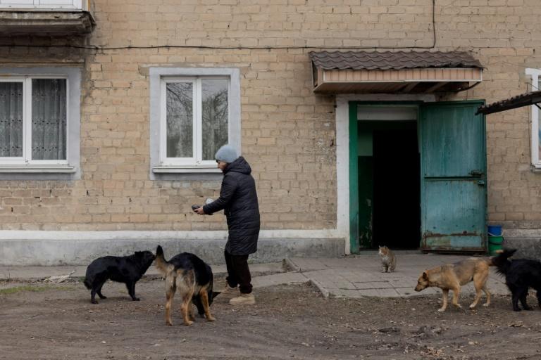 Nourrir les chiens et "volonté de Dieu": une journée à la lisière du front ukrainien