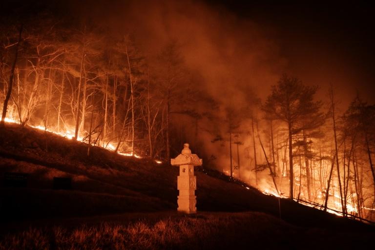 La Corée du Sud en proie aux incendies les plus destructeurs de son histoire