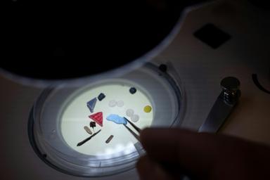 De l'Elbe à l'Ebre, les grands fleuves européens envahis par les microplastiques