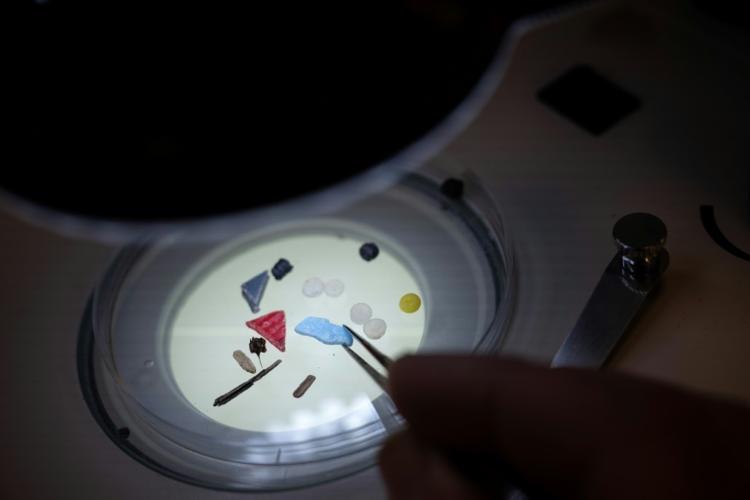 De l'Elbe à l'Ebre, les grands fleuves européens envahis par les microplastiques