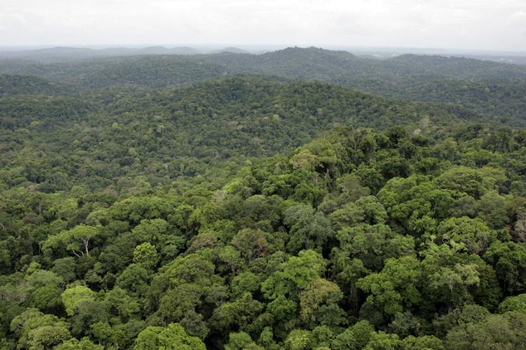 Narcotrafiquants et radicalisés: Darmanin annonce la création d