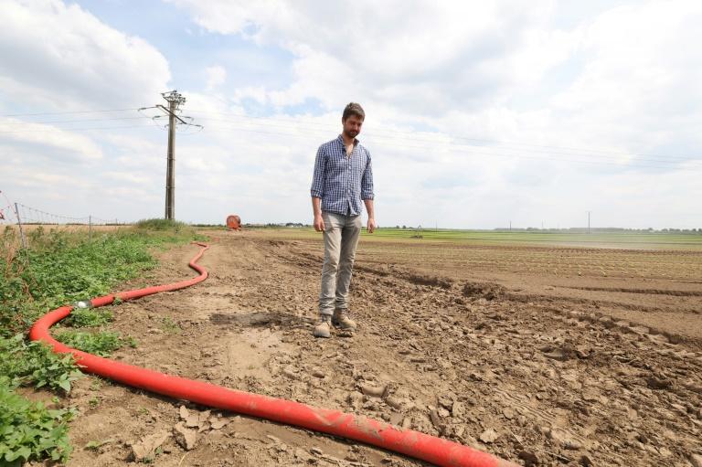 Le nord de l’Europe frappé par une sécheresse exceptionnelle