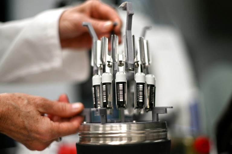 En Australie, des gamètes cryogénisées pour sauver la Grande Barrière de corail