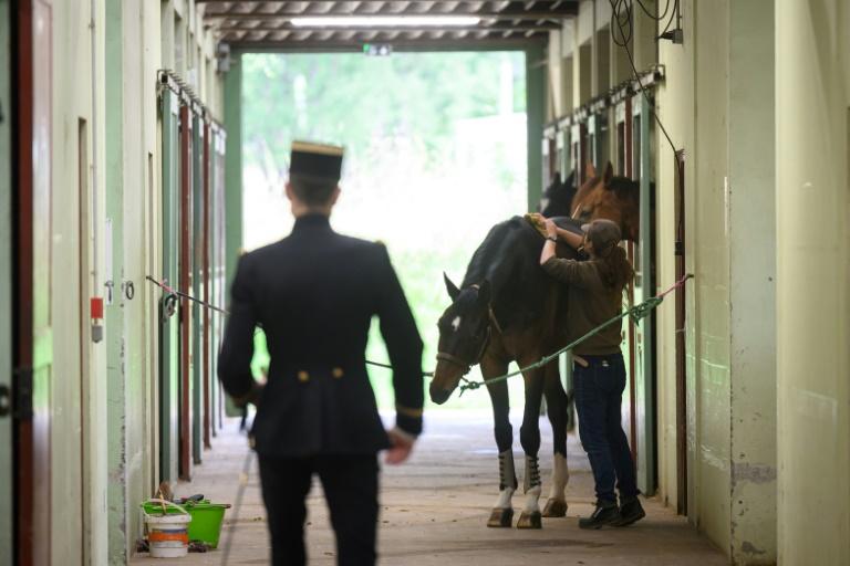 Au Cadre Noir de Saumur, 200 ans d'équitation à la française