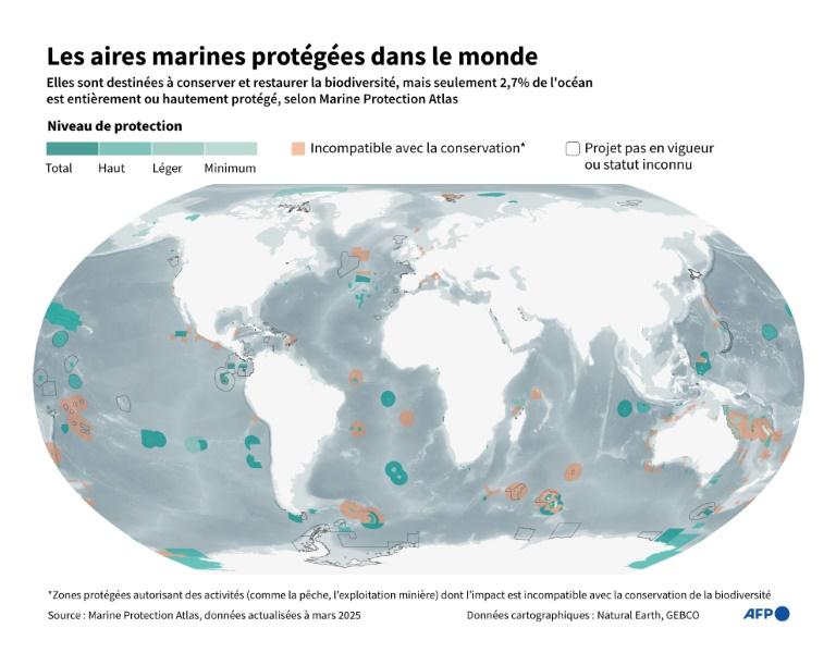 Une vague de nouvelles protections attendues à Nice pour les océans
