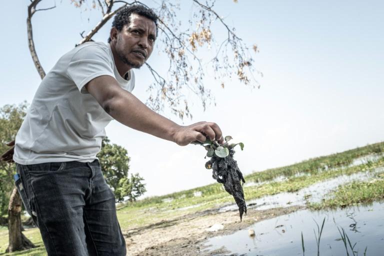 En Ethiopie, confronté à un pompage massif, le lac Dembel meurt à petit feu