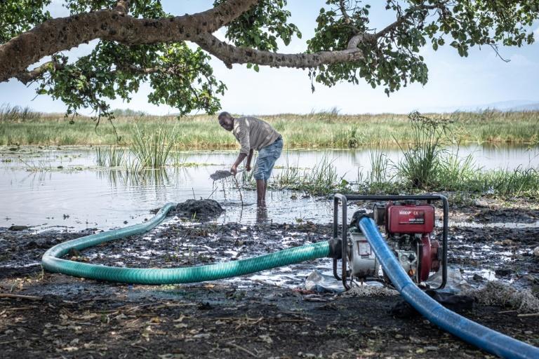 En Ethiopie, confronté à un pompage massif, le lac Dembel meurt à petit feu