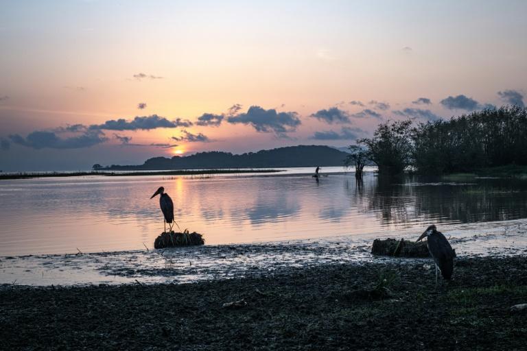 En Ethiopie, confronté à un pompage massif, le lac Dembel meurt à petit feu