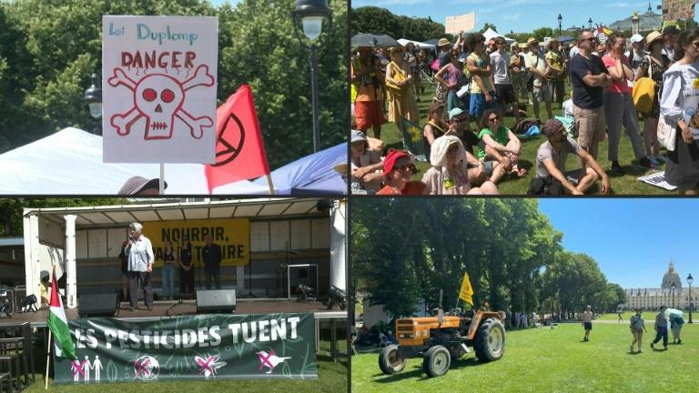 Pesticides: la décriée loi Duplomb soumise à des tractations décisives au Parlement