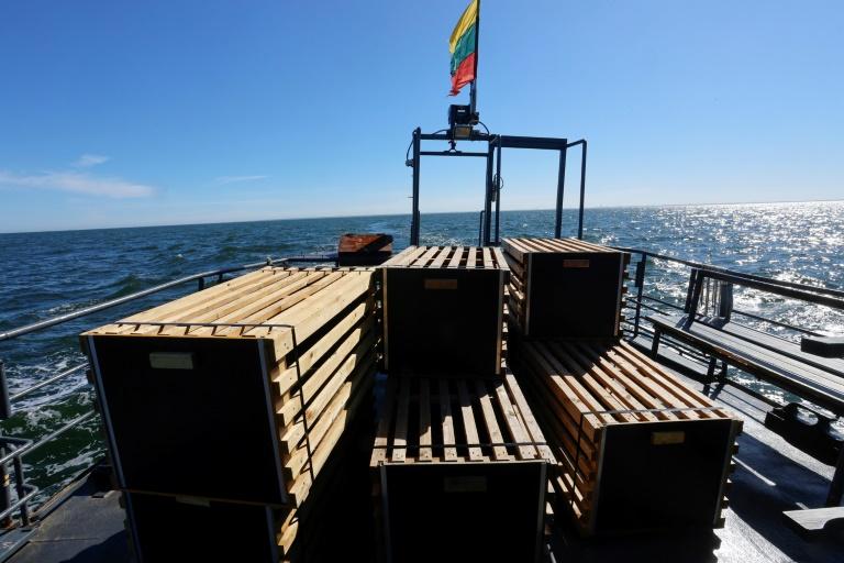 En Lituanie, une opération pour sauver les phoques menacés par la fonte de la banquise