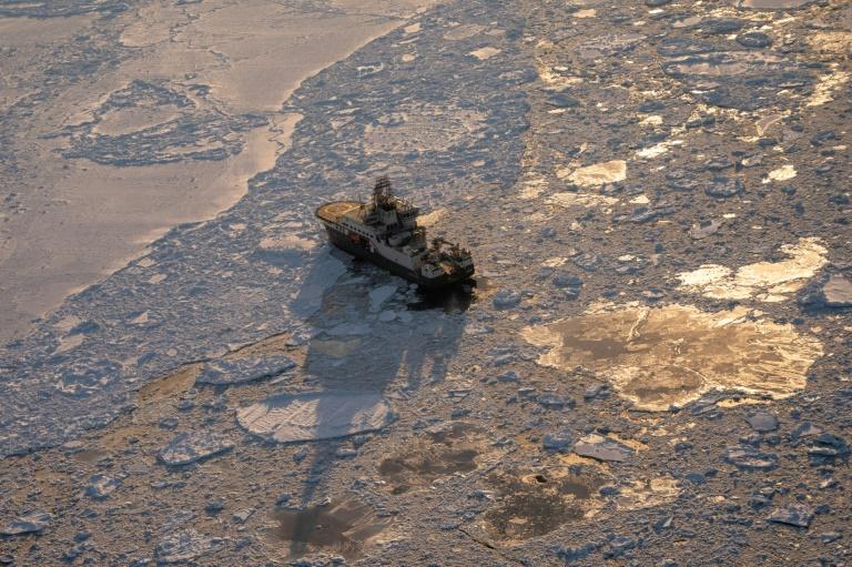 Prélèvements et biopsies: sur les traces de l'ours polaire en Arctique