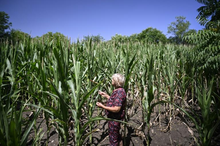 Réseau vétuste et changement climatique, la Bulgarie manque d'eau