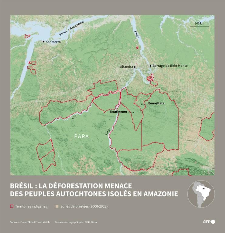 Amazonie brésilienne: remonter la trace d'indigènes isolés pour protéger la forêt