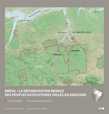 Amazonie brésilienne: remonter la trace d'indigènes isolés pour protéger la forêt