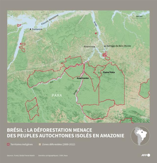Amazonie brésilienne: remonter la trace d'indigènes isolés pour protéger la forêt