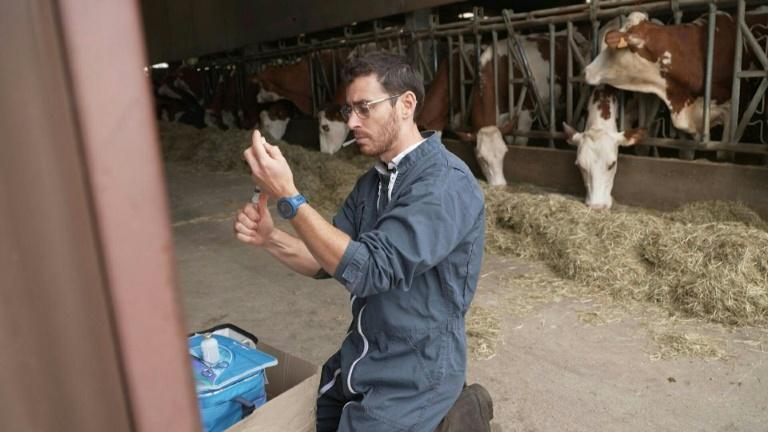 Dermatose des bovins: la ministre de l'Agriculture chez les éleveurs touchés