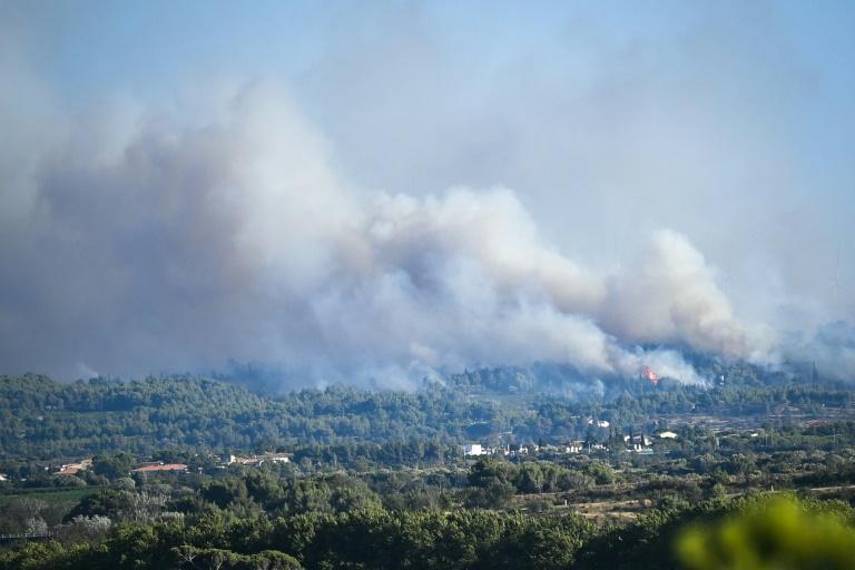 Feux de forêt: à la mi-saison estivale, déjà 15.000 hectares brûlés en France