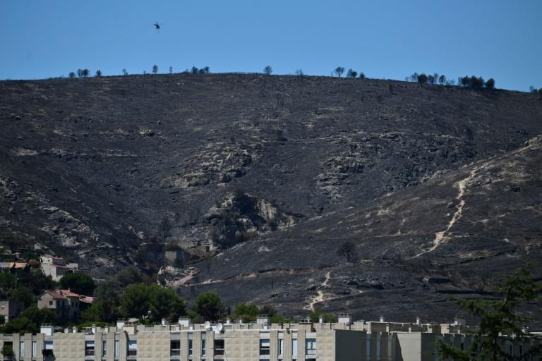 Feux de forêt: à la mi-saison estivale, déjà 15.000 hectares brûlés en France
