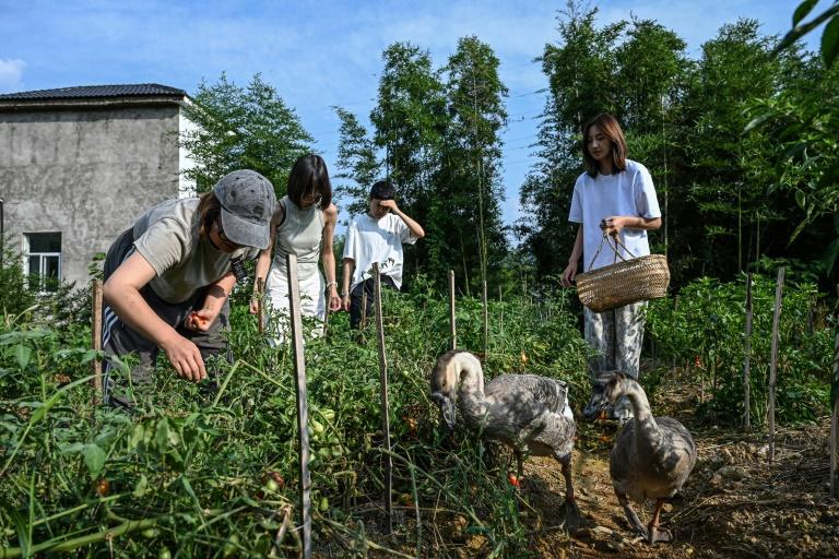 Ni mec, ni stress: les communautés 100% féminines fleurissent en Chine
