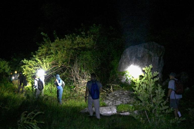 Du karst cambodgien jaillissent de nouvelles espèces animales