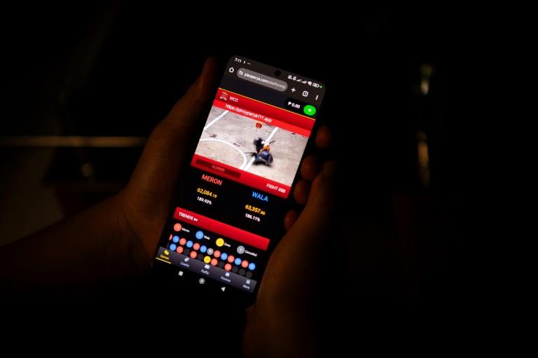 Aux Philippines: le marché du combat de coqs en ligne continue de prospérer, malgré son interdiction