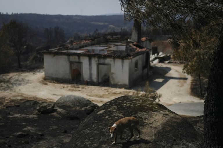 Amélioration sur le front des incendies en Espagne, un pompier décède au Portugal