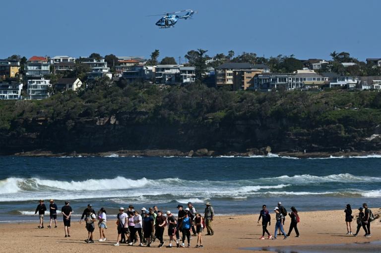 Un surfeur tué par un "grand requin" en Australie