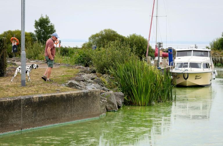 Le plus grand lac du Royaume-Uni suffoque à cause des algues toxiques