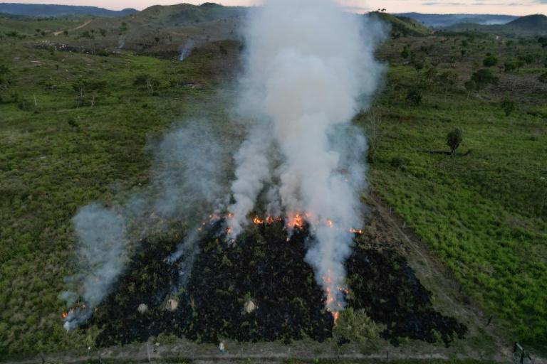 Qui met le feu à l'Amazonie ?
