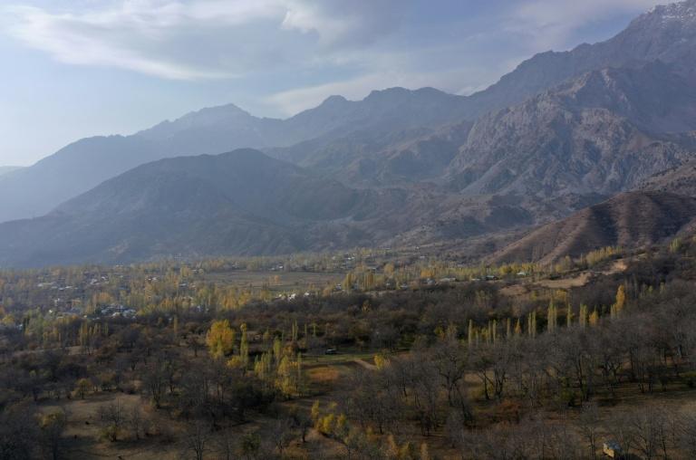 Au Kirghizstan, l'avenir incertain d'une rare forêt ancestrale de noyers