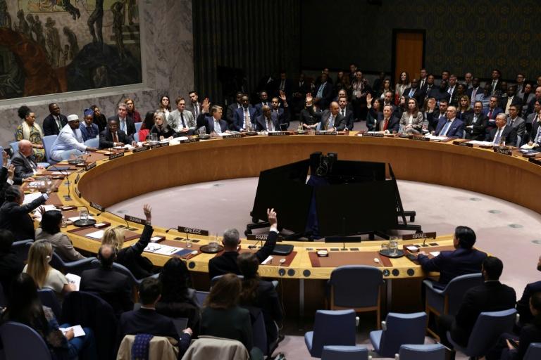 Le Conseil de sécurité de l'ONU vote pour une force internationale à Gaza