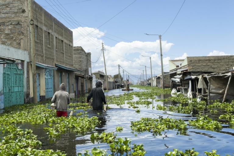 Au Kenya, des milliers de déplacés par la montée des eaux du célèbre lac Naivasha