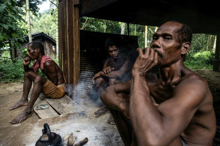 Les derniers chasseurs-cueilleurs de Thaïlande revendiquent leur droit aux terres