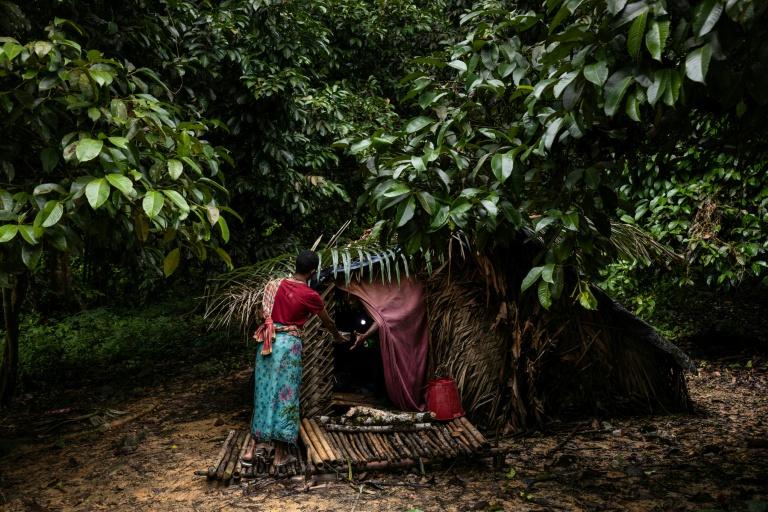 Les derniers chasseurs-cueilleurs de Thaïlande revendiquent leur droit aux terres
