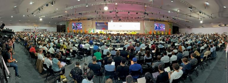 Jusqu'à la fin, une COP brésilienne dans le désordre