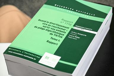 Les réseaux sociaux nuisent gravement à la santé des ados, alerte l'Anses