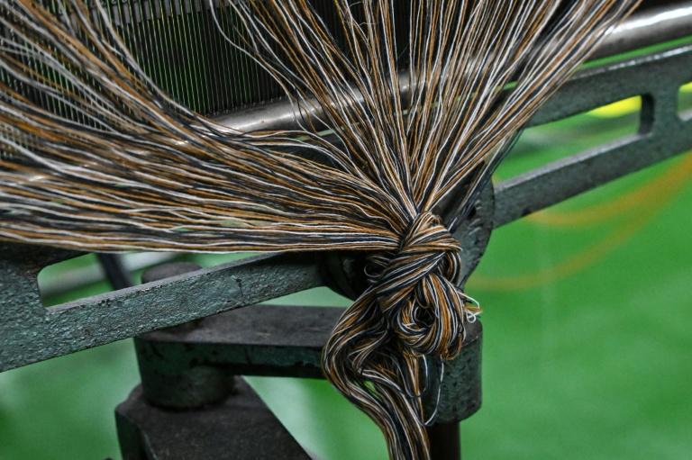 En Écosse, le lent réapprentissage du travail de la laine