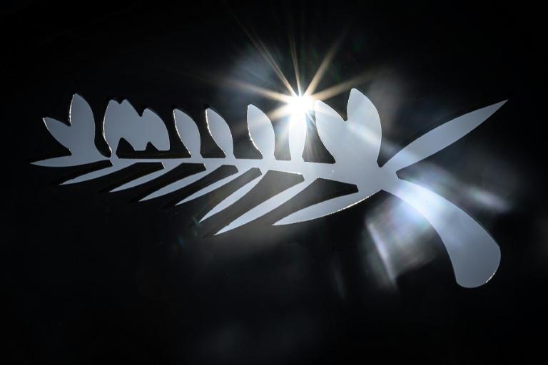 Le 79e festival de Cannes dévoile sa sélection officielle