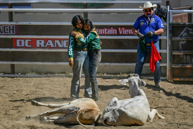 Aux Philippines, les "cowgirls" de Masbate domptent les boeufs et les préjugés