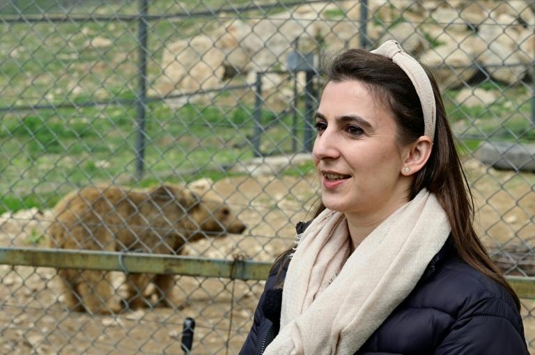Arménie: à la rescousse des ours maltraités