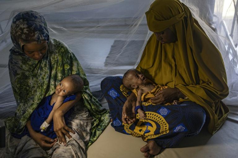 En Somalie, l'angoisse des déplacés par la sécheresse sans aide humanitaire