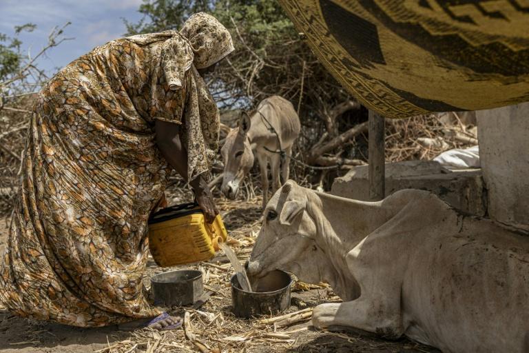 En Somalie, l