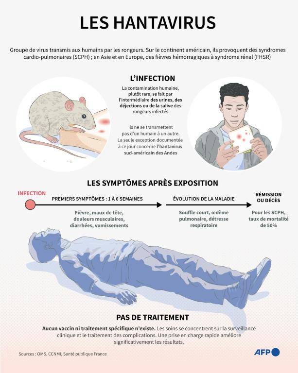 Hantavirus: le risque pour l'ensemble de la population est "absolument faible", assure l'OMS
